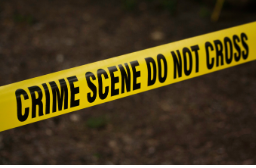 two brothers were injured in faridabad