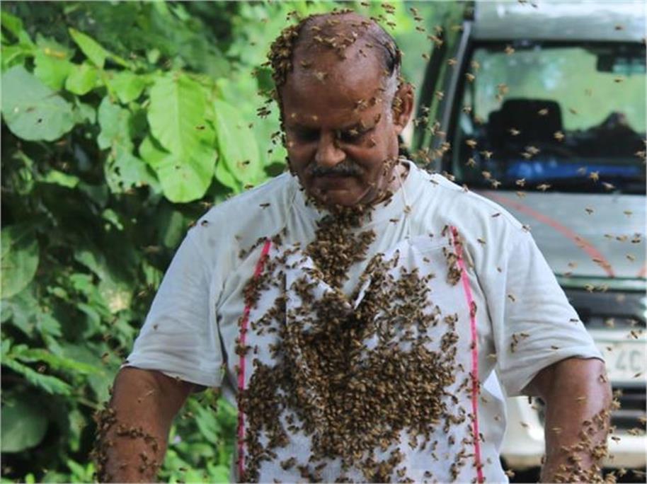 the story of bulandshahr bee man will surprise you